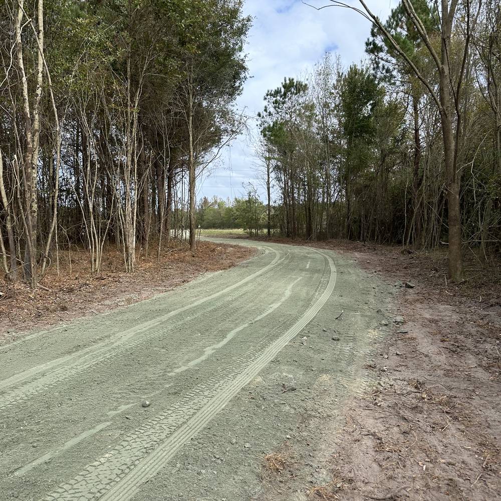 Finished graded gravel lane curving through pine woods